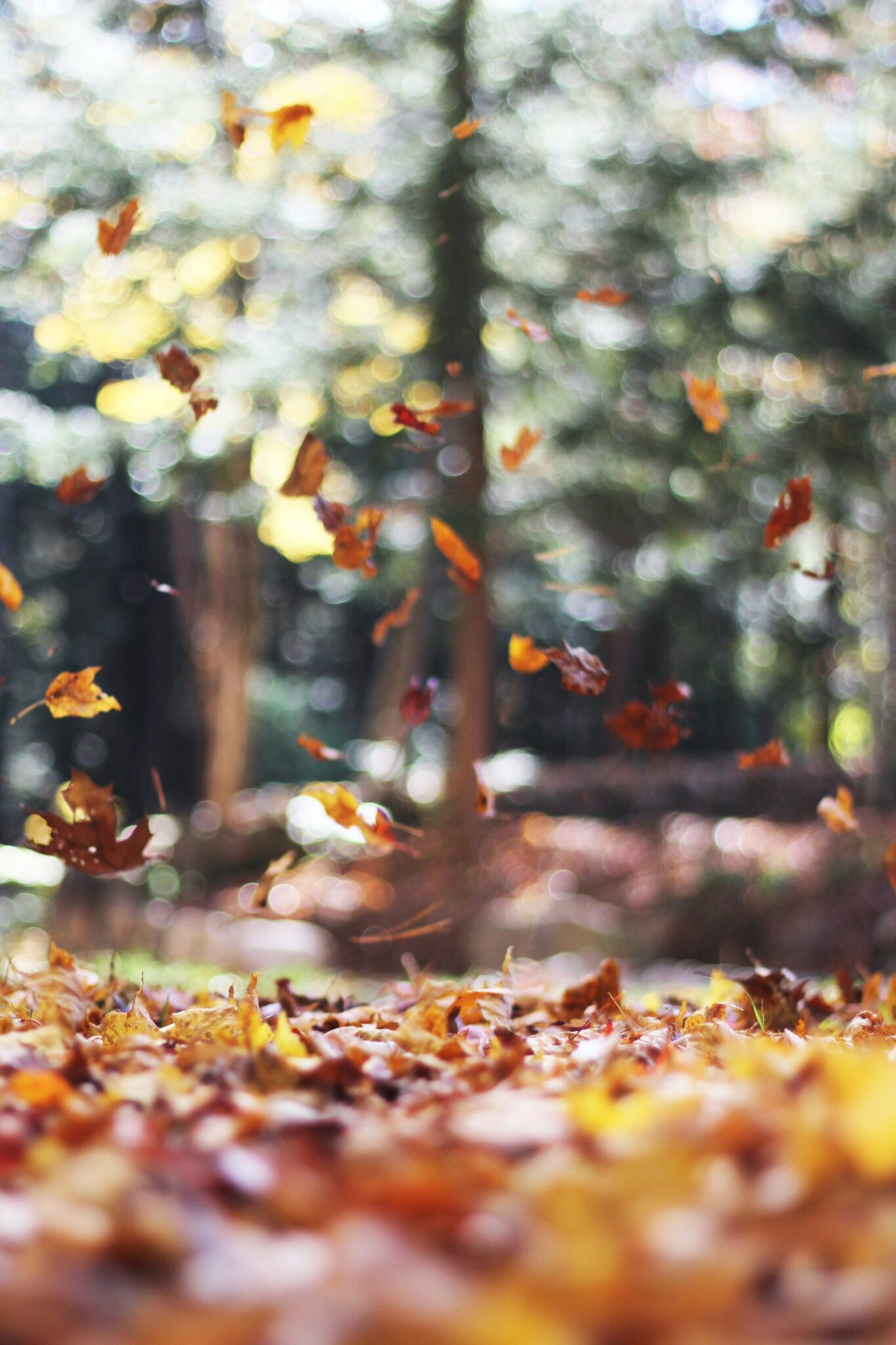Utraty jesieni życia – sprawność, niezależność, bliscy i perspektywa własnego odchodzenia.